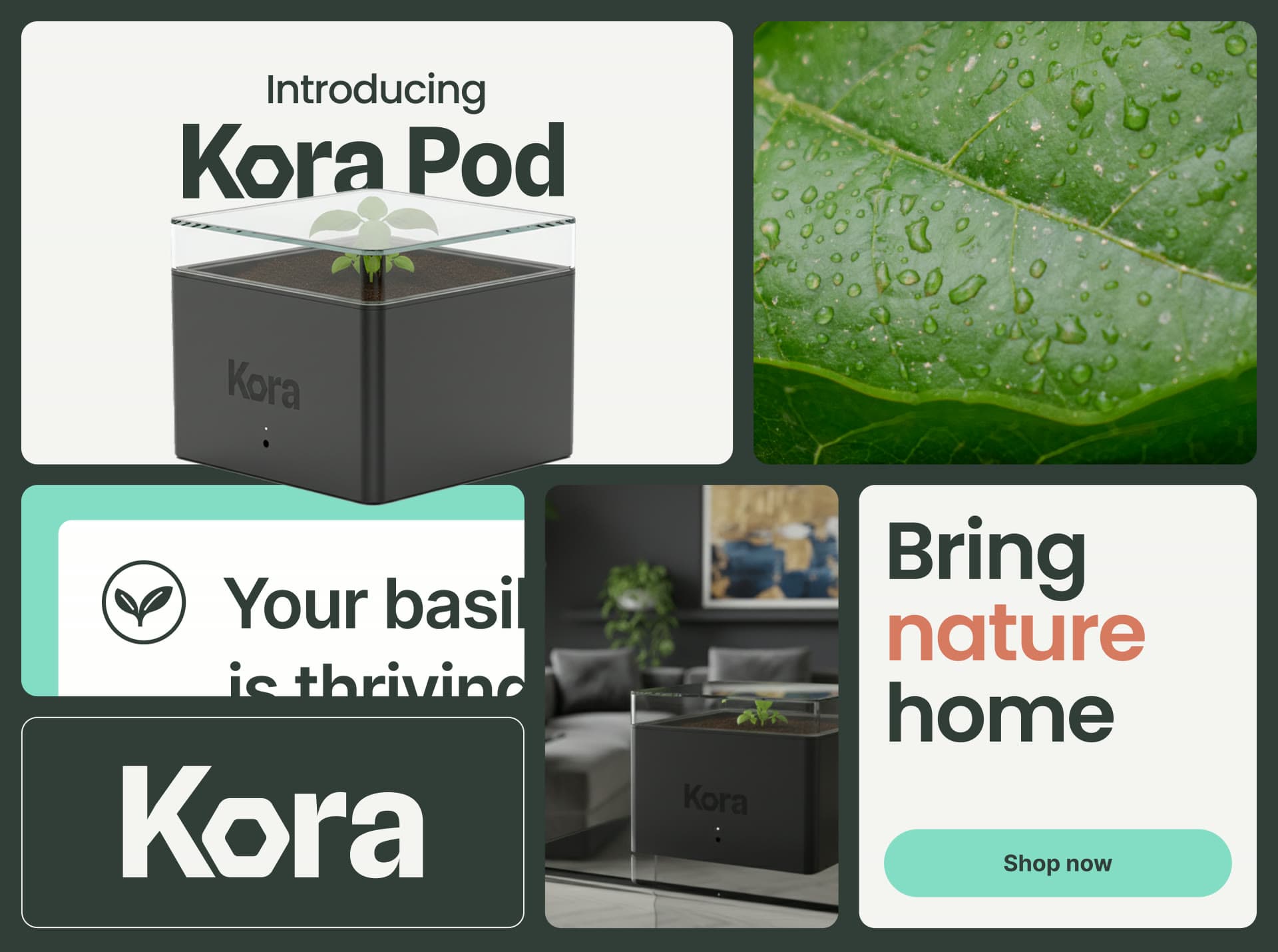 Kora brand applications: ads, app notification and product shots