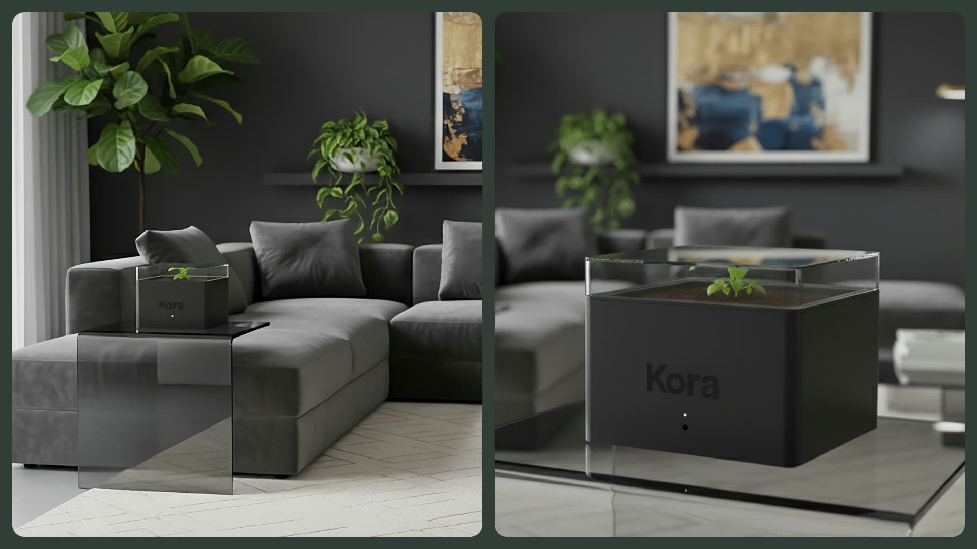 Kora Pod in a living room