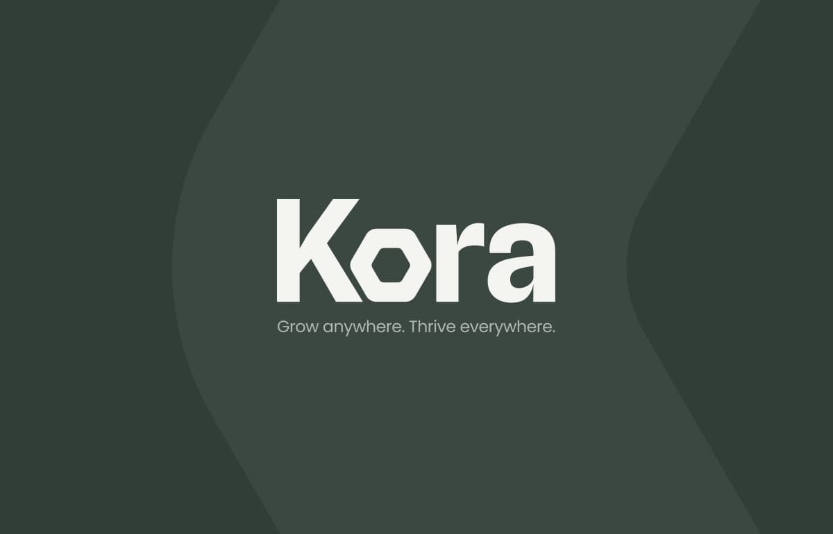 Kora website concept hero