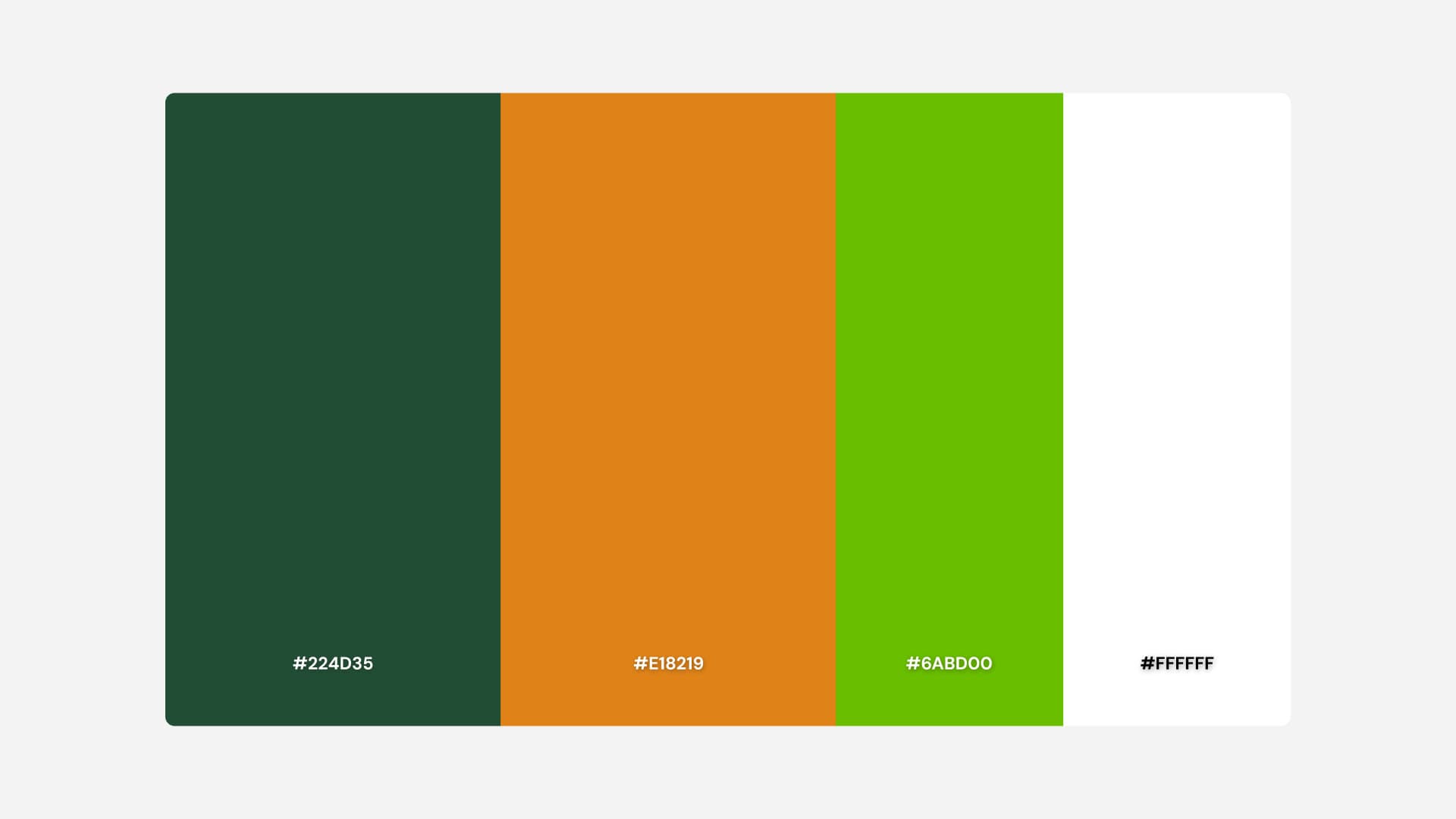 Colour palette: forest green, orange, leaf green and white