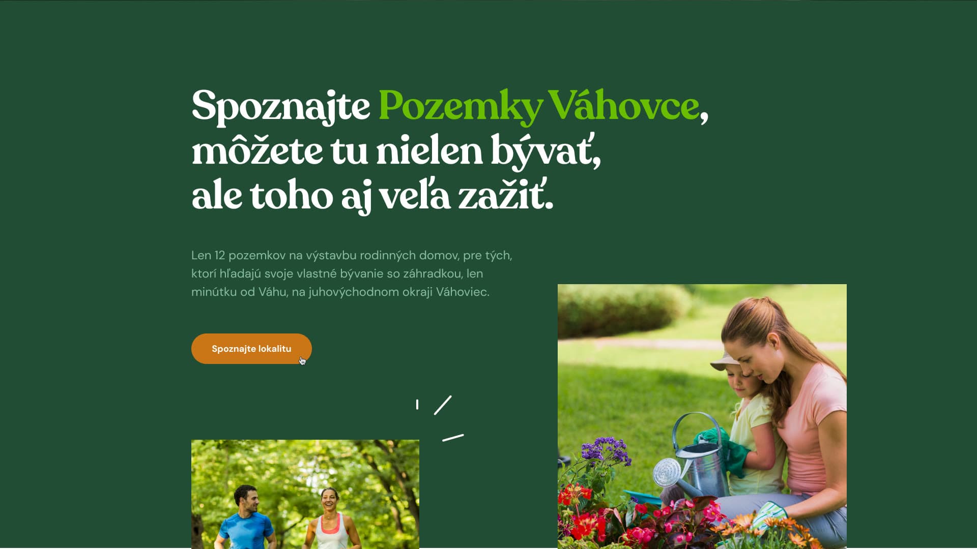 Website section introducing the development
